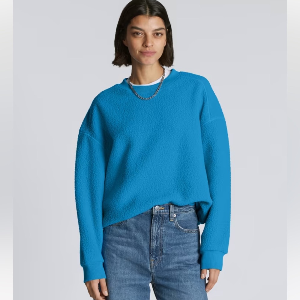 Everlane The ReNew Teddy Oversized Crew